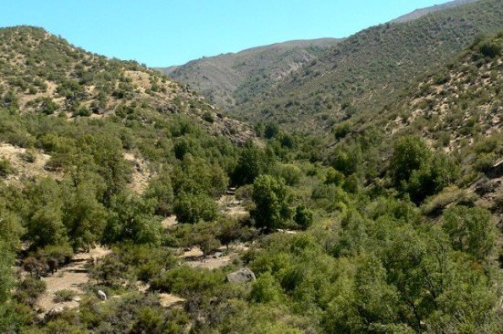 1081156_10200951812250877_200992362_n