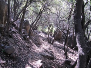 Santuario - 0042