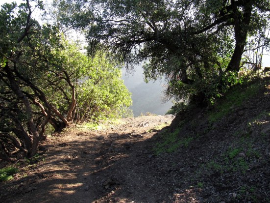 Santuario - 0082