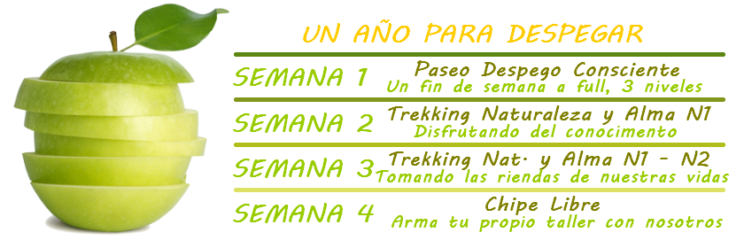 Mes Despego Consciente Texto