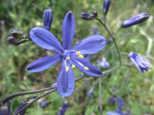 374515_495777710444093_1198522361_n