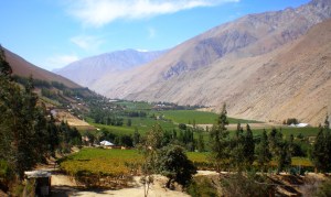 Valle de Elqui